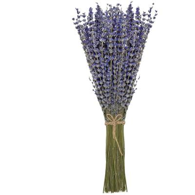 YNSEXS004 Hot Selling Natural Dried Lavender Dried Flowers Bathroom Decoration Home Decoration 100pcs