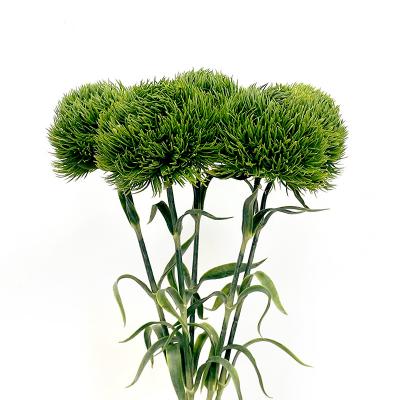 DGOLF-55004 Green Dianthus Green Trick Minimalist Style Home Decor with Simulated Green Flowers and Artificial Flower Decorations