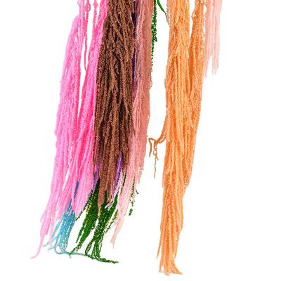 Natural Dried Flower Armanarth Flower Wall Decoration Tassel Hanging Ears Handmade DIY Flower Materials