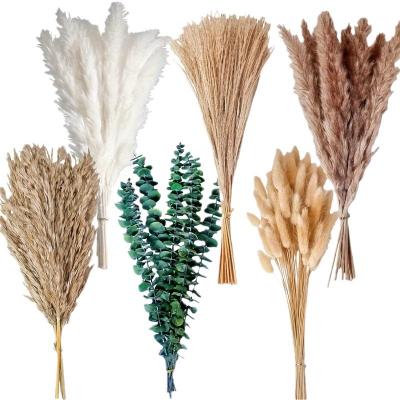 Dried Bunny Tail Pampass Grass Bouquet 