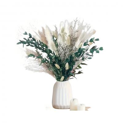 Dried Pampass Grass Bouquet -65PCS